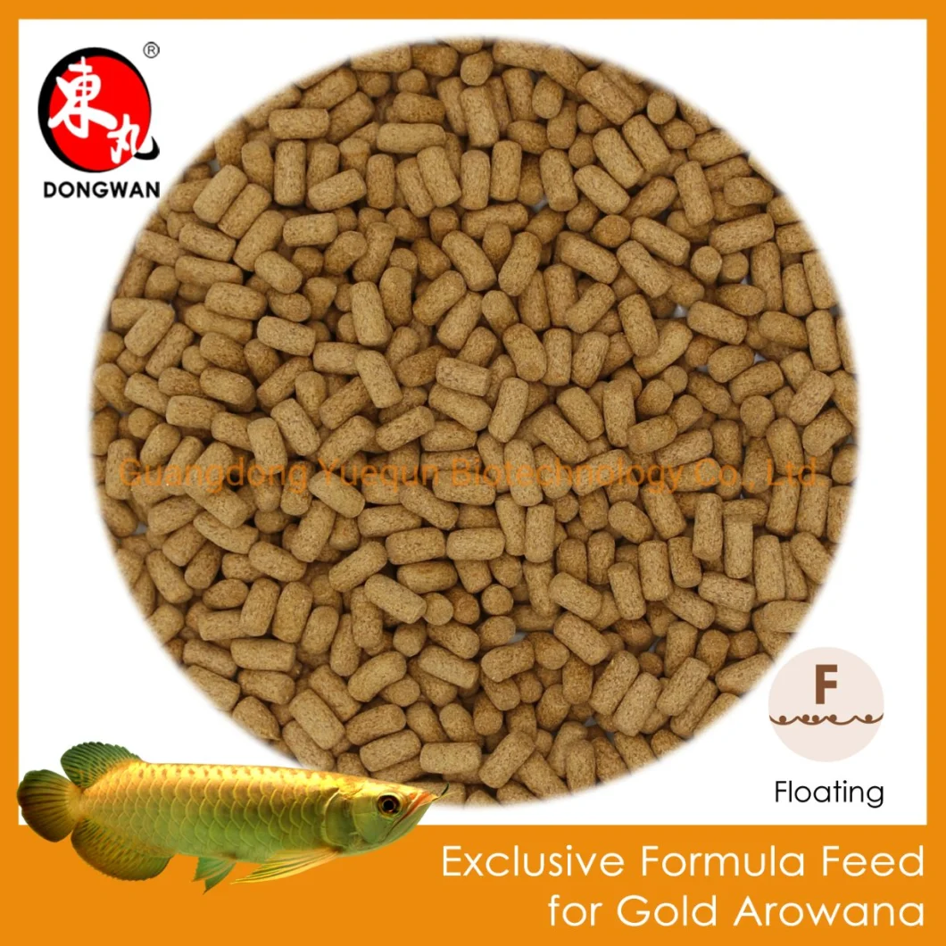 Gold Arowana Feed Compound Feed for Gold Arowana Fish Feed Pond Fish Food