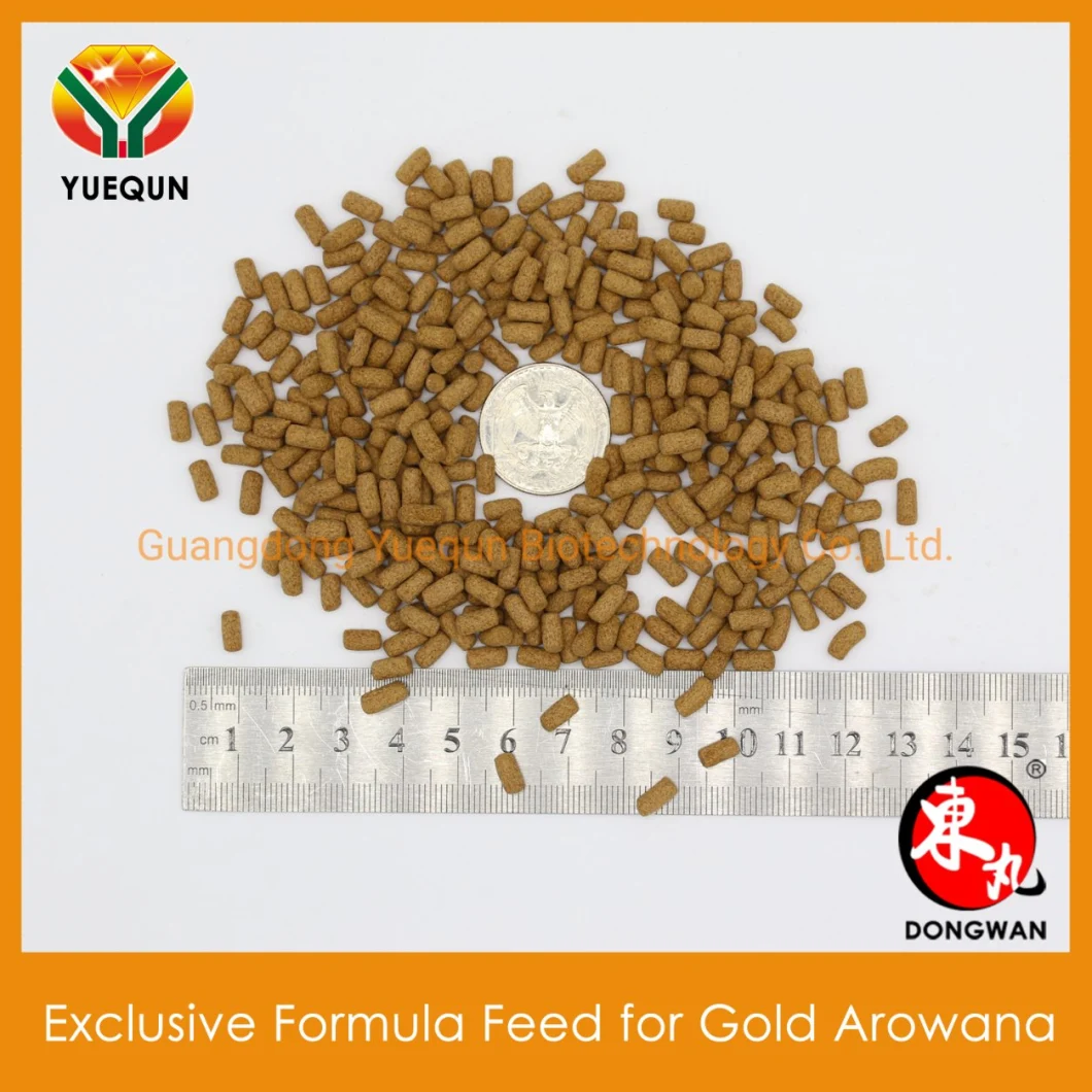 Gold Arowana Feed Compound Feed for Gold Arowana Fish Feed Pond Fish Food