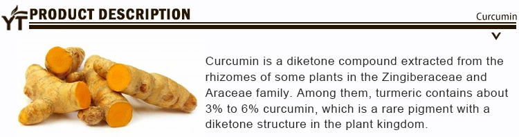 Pure Nano Curcumin Extract Bulk Curcumin Extract Nano Curcumin 95% Herbal Turmeric Extract Root Powder Sv Agro 95% Food Curcumin Powder