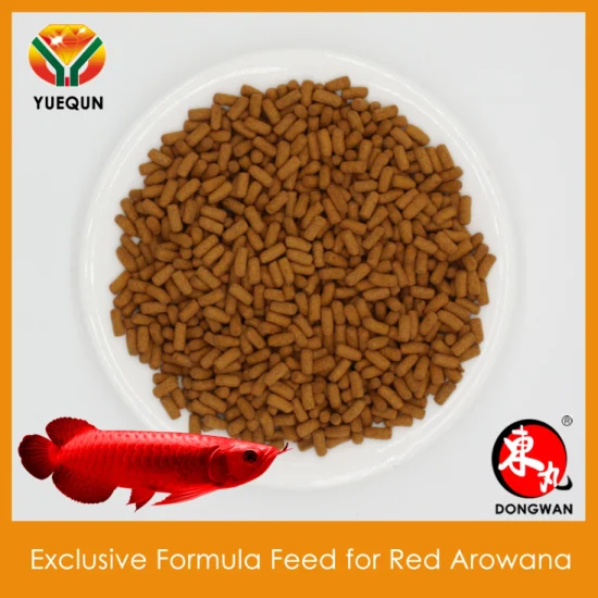 Alimento compuesto Gold Arowana Feed para Gold Arowana Fish Feed Pond Fish Food